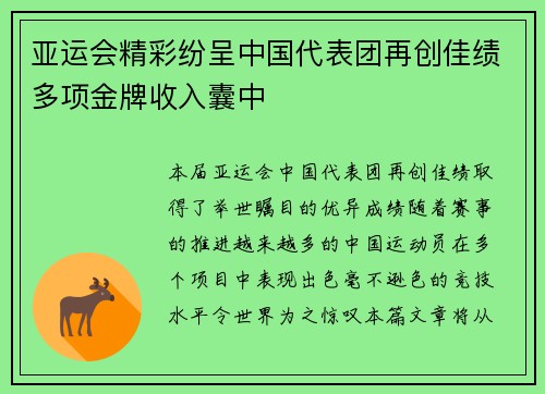 亚运会精彩纷呈中国代表团再创佳绩多项金牌收入囊中
