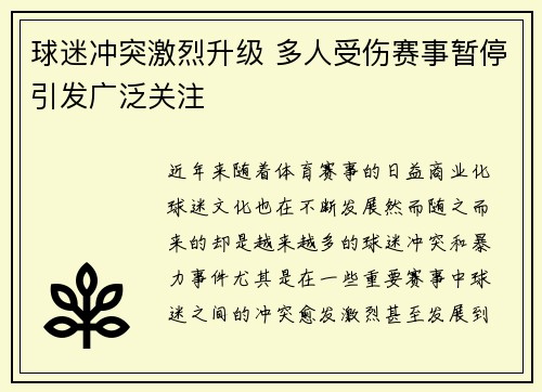 球迷冲突激烈升级 多人受伤赛事暂停引发广泛关注